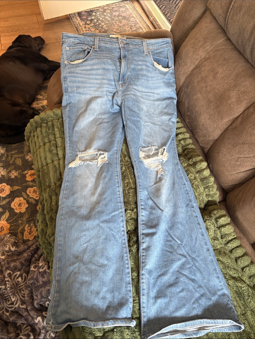 High-Rise Light Blue Distressed Flare Jeans